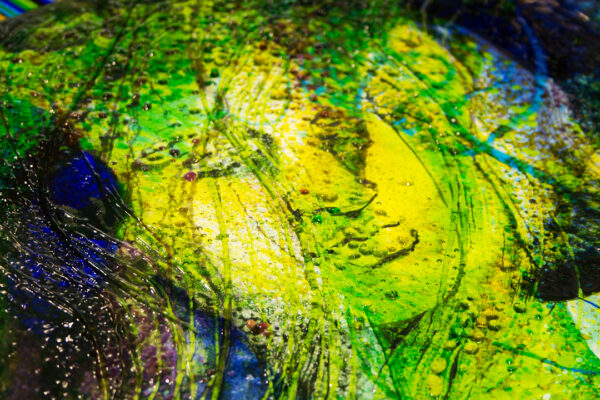 Judson Studios Awarded U.S. Congressional, State of California Senate, and California Legislature Assembly Recognitions at Reception for Completion of the World's Largest Fused Glass Window at Judson Studios. February 11, 2017. South Pasadena, CA.